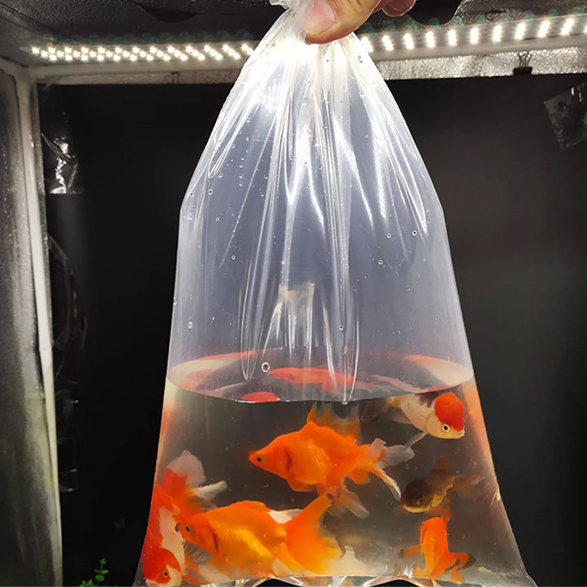 100PCS Aquarium Fish Breathing Bags Oxygen-Permeable Transport