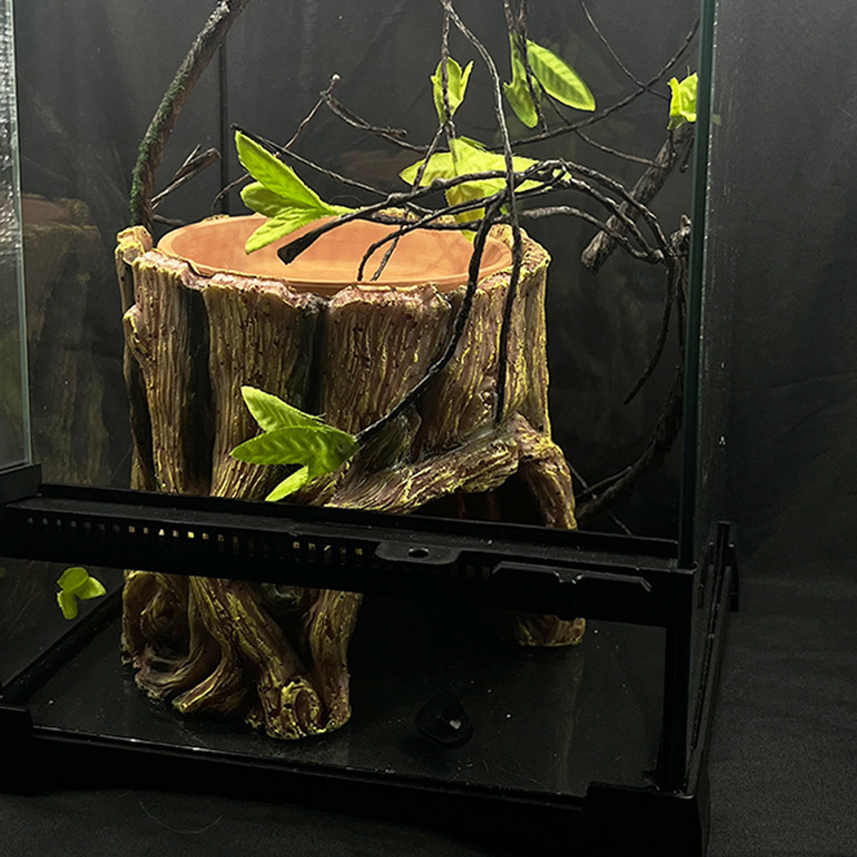 Tree Stump Reptile Cave