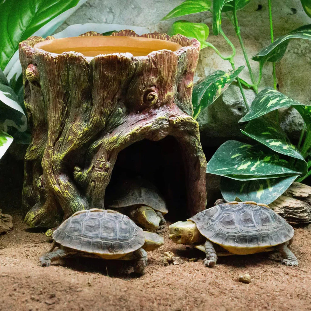 Tree Stump Reptile Cave