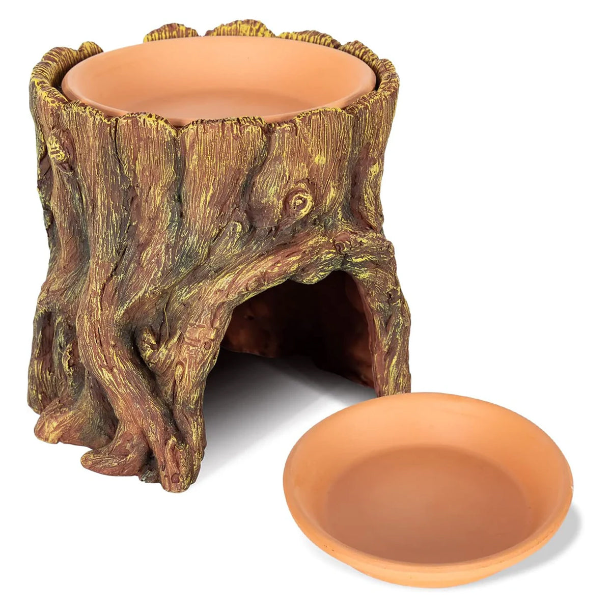 Tree Stump Reptile Cave