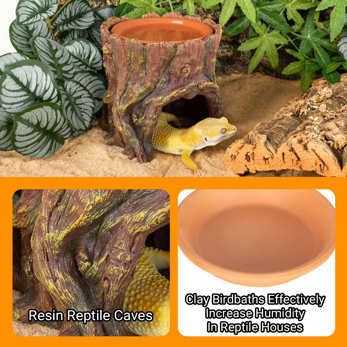 Tree Stump Reptile Cave