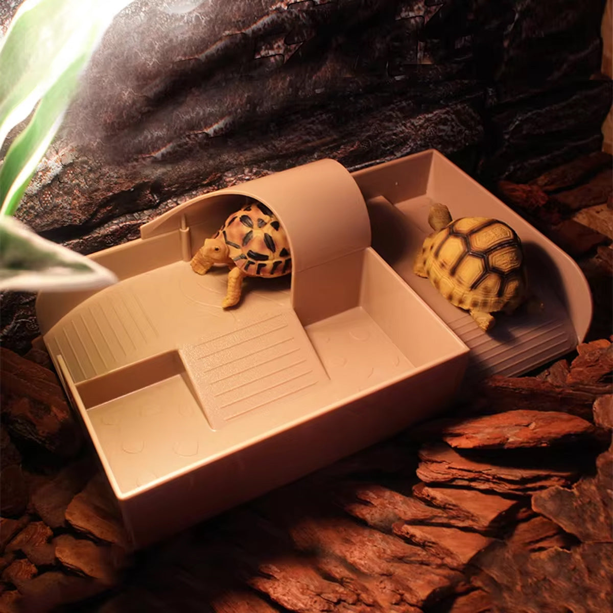 Reptile Basking and Climbing Platform for Turtles and Tortoises
