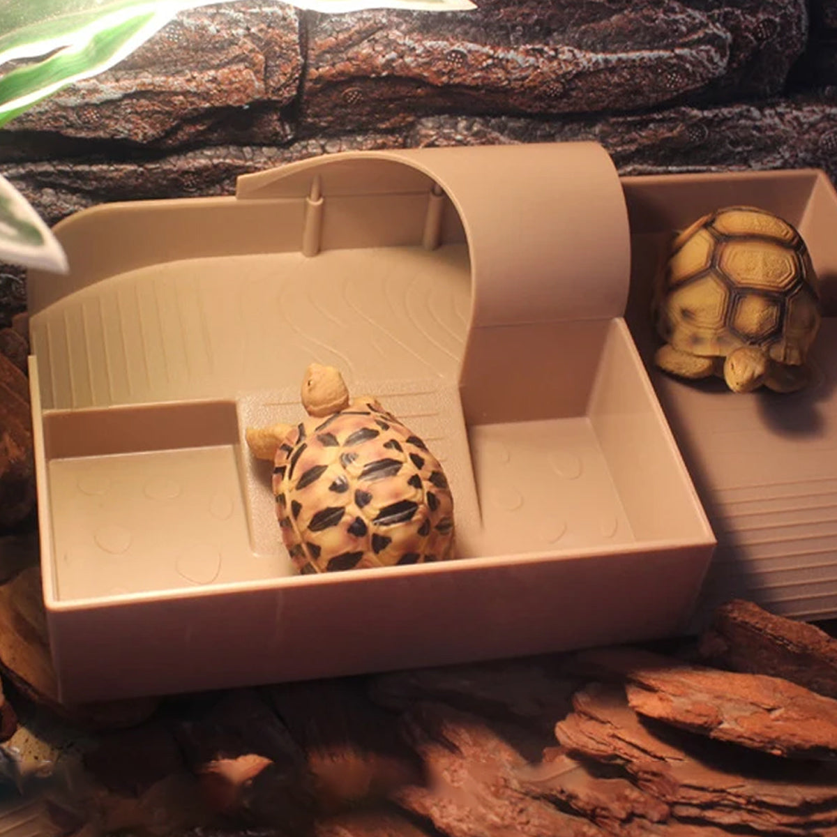 Reptile Basking and Climbing Platform for Turtles and Tortoises