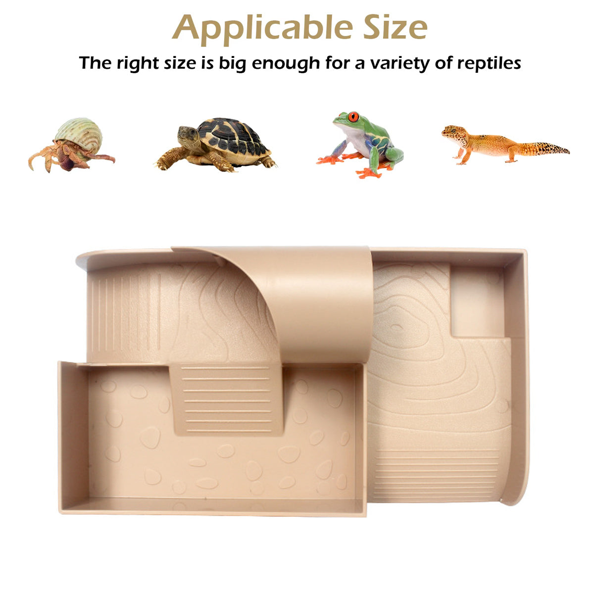 Reptile Basking and Climbing Platform for Turtles and Tortoises