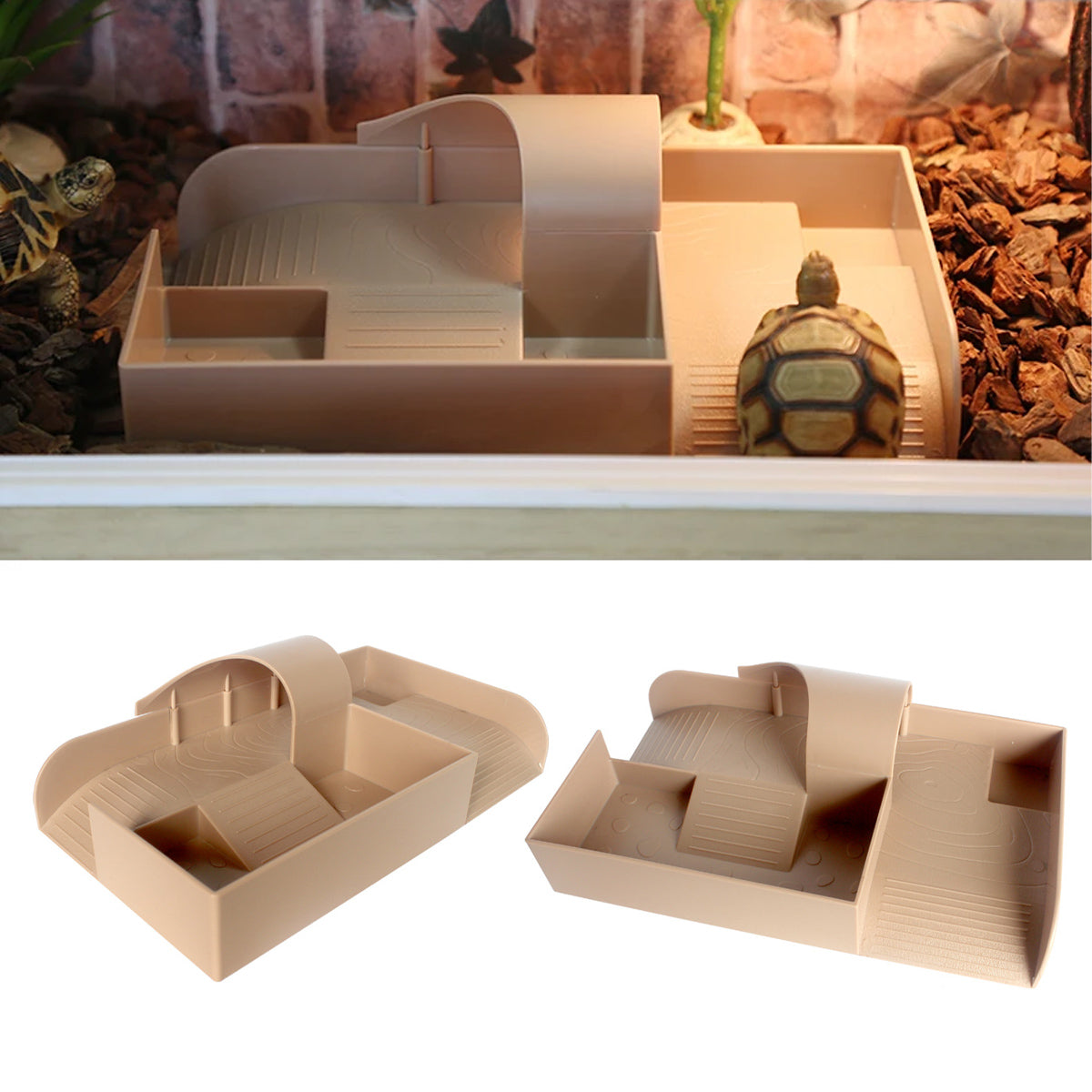 Reptile Basking and Climbing Platform for Turtles and Tortoises