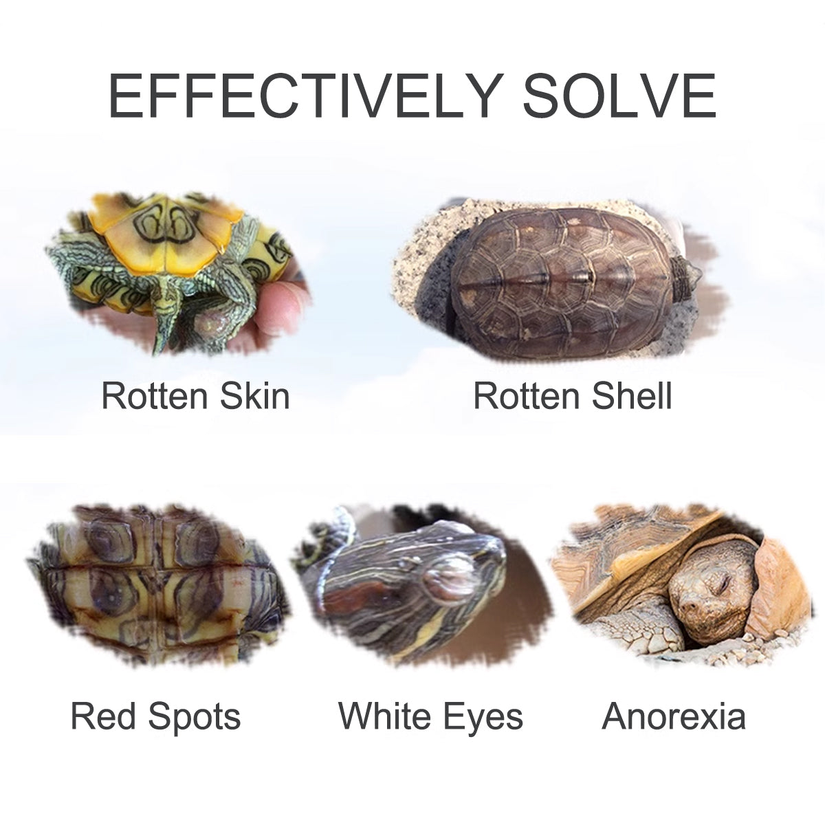 Turtle Antifungal Care Solution 100ML