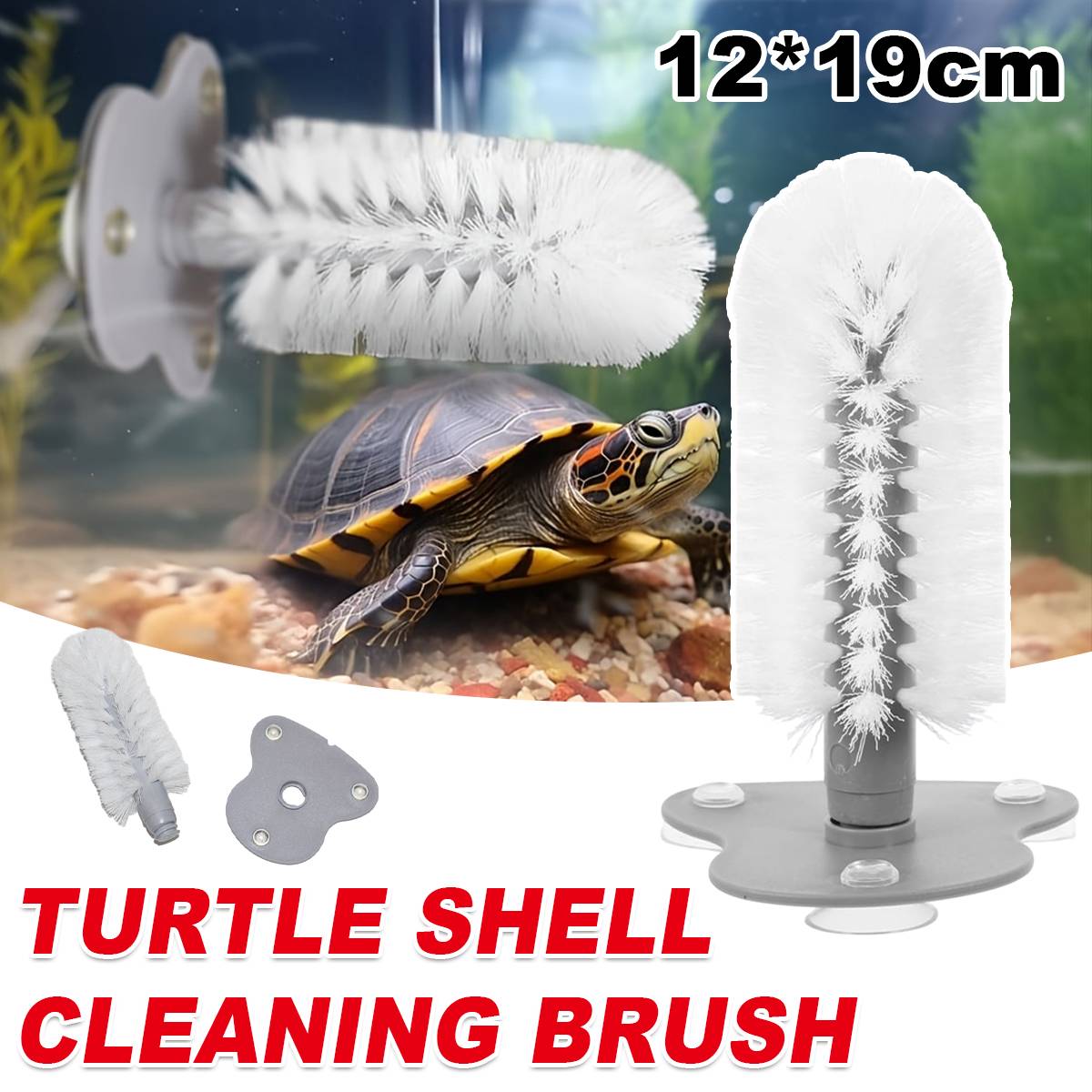 Turtle Shell Cleaning Brush With Suction Cup Base