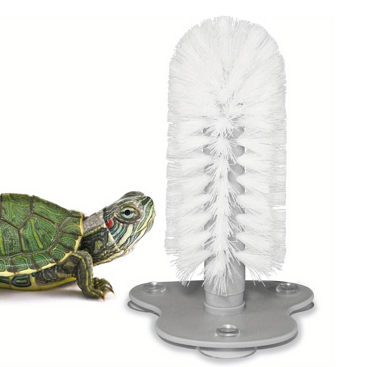Turtle Shell Cleaning Brush With Suction Cup Base