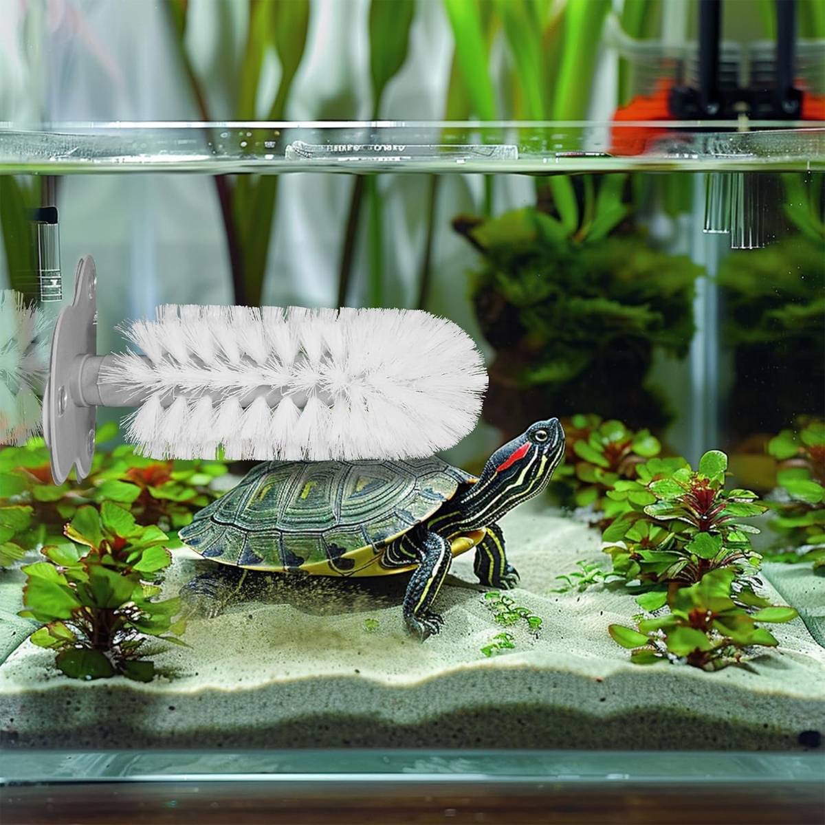 Turtle Shell Cleaning Brush With Suction Cup Base