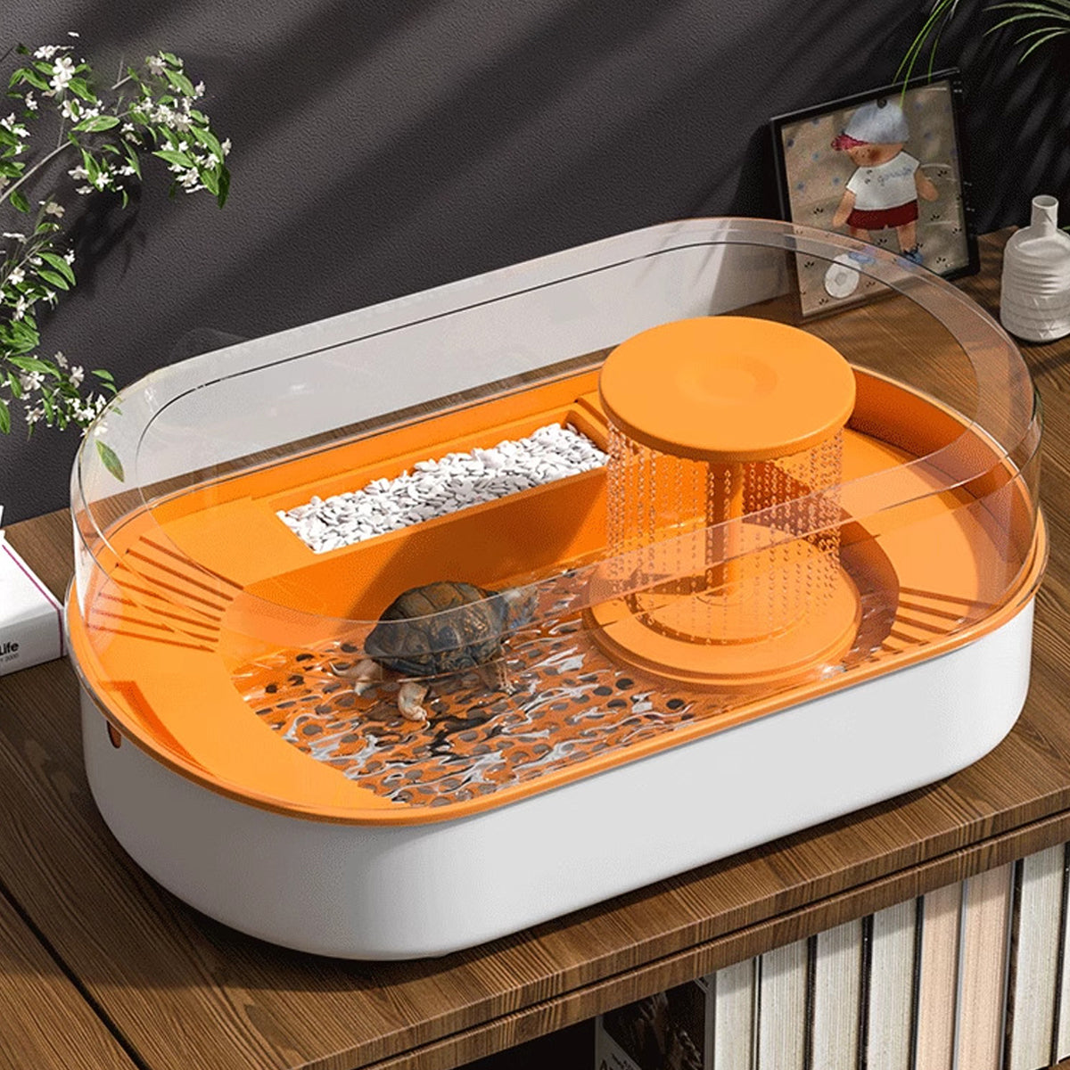 Turtle Feeding Tank with Drainage Small Habitat for Aquatic Pets