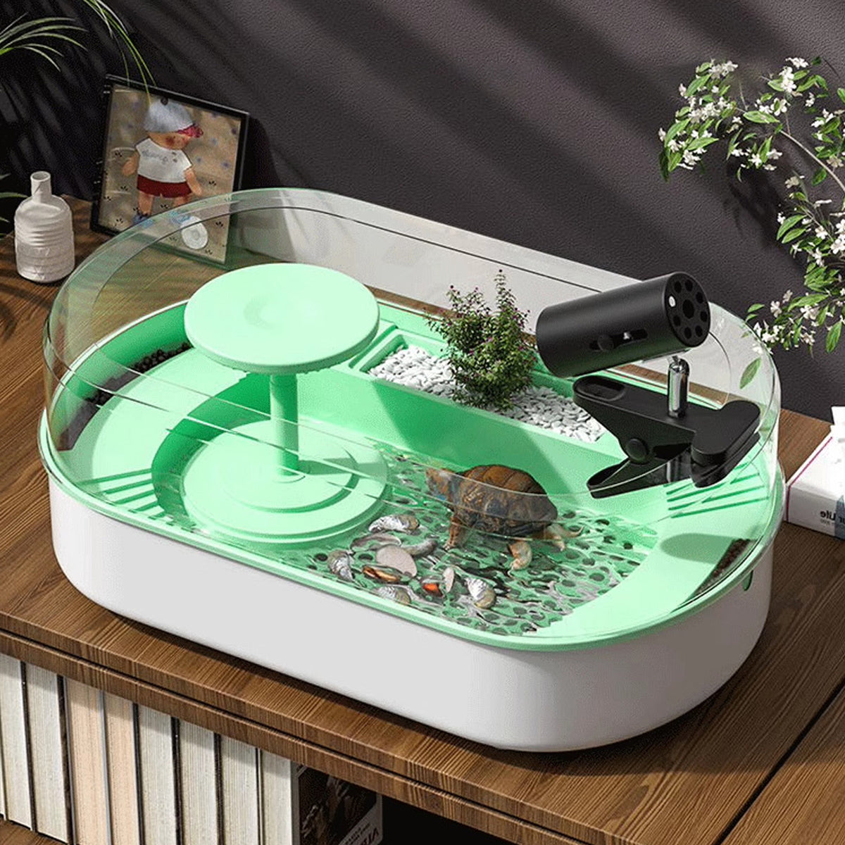 Turtle Feeding Tank with Drainage Small Habitat for Aquatic Pets