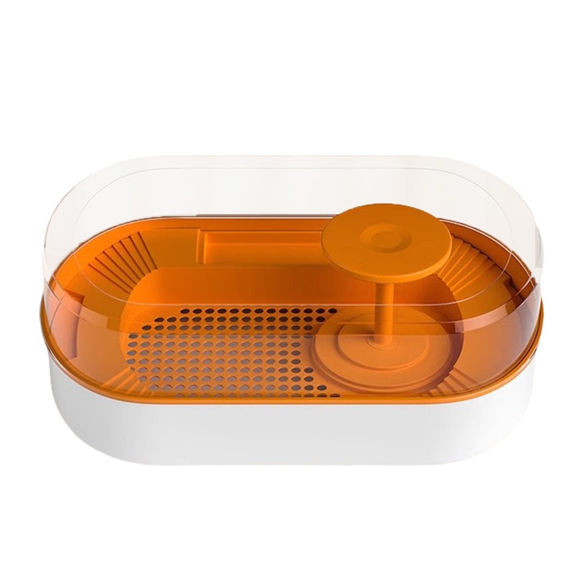Turtle Feeding Tank with Drainage Small Habitat for Aquatic Pets