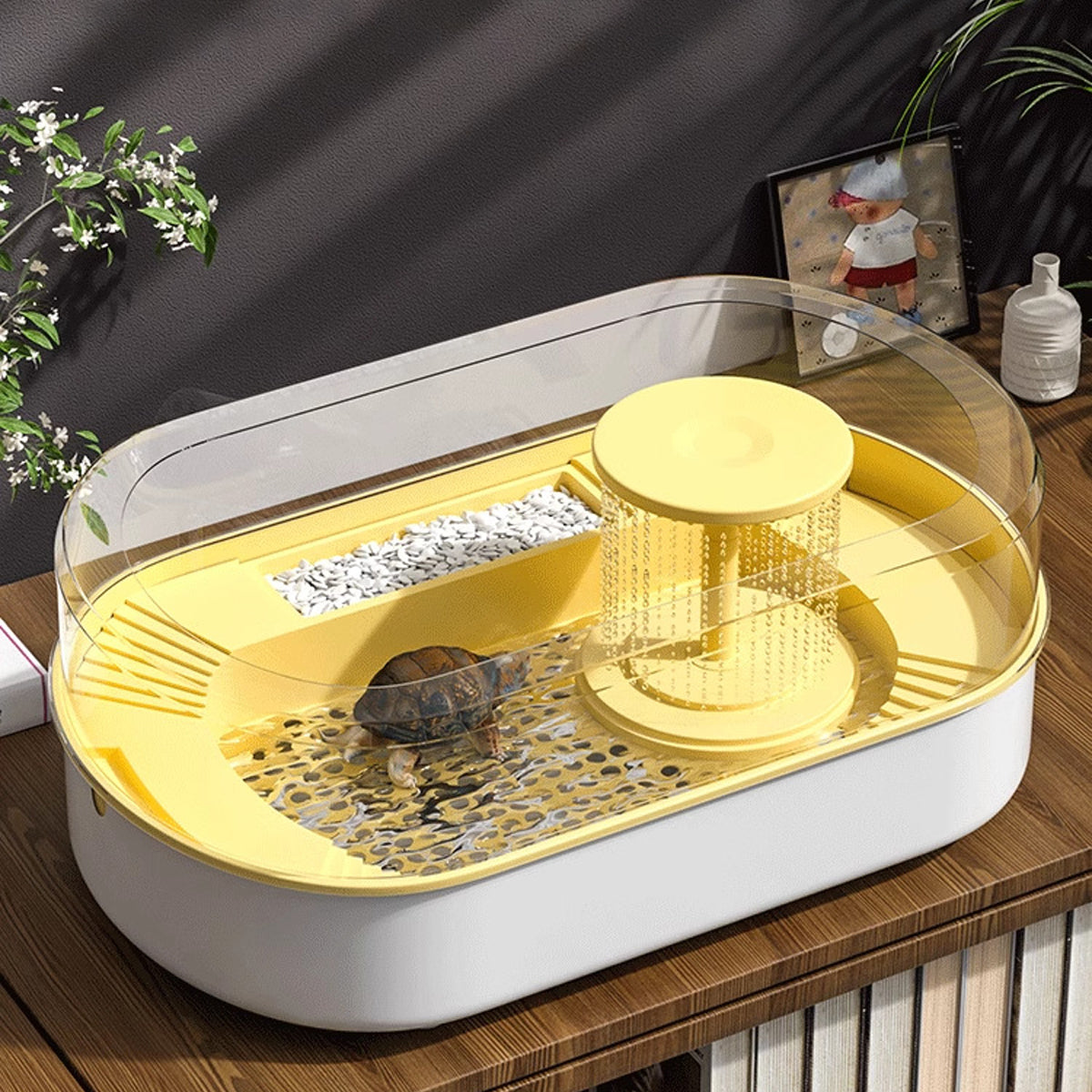 Turtle Feeding Tank with Drainage Small Habitat for Aquatic Pets