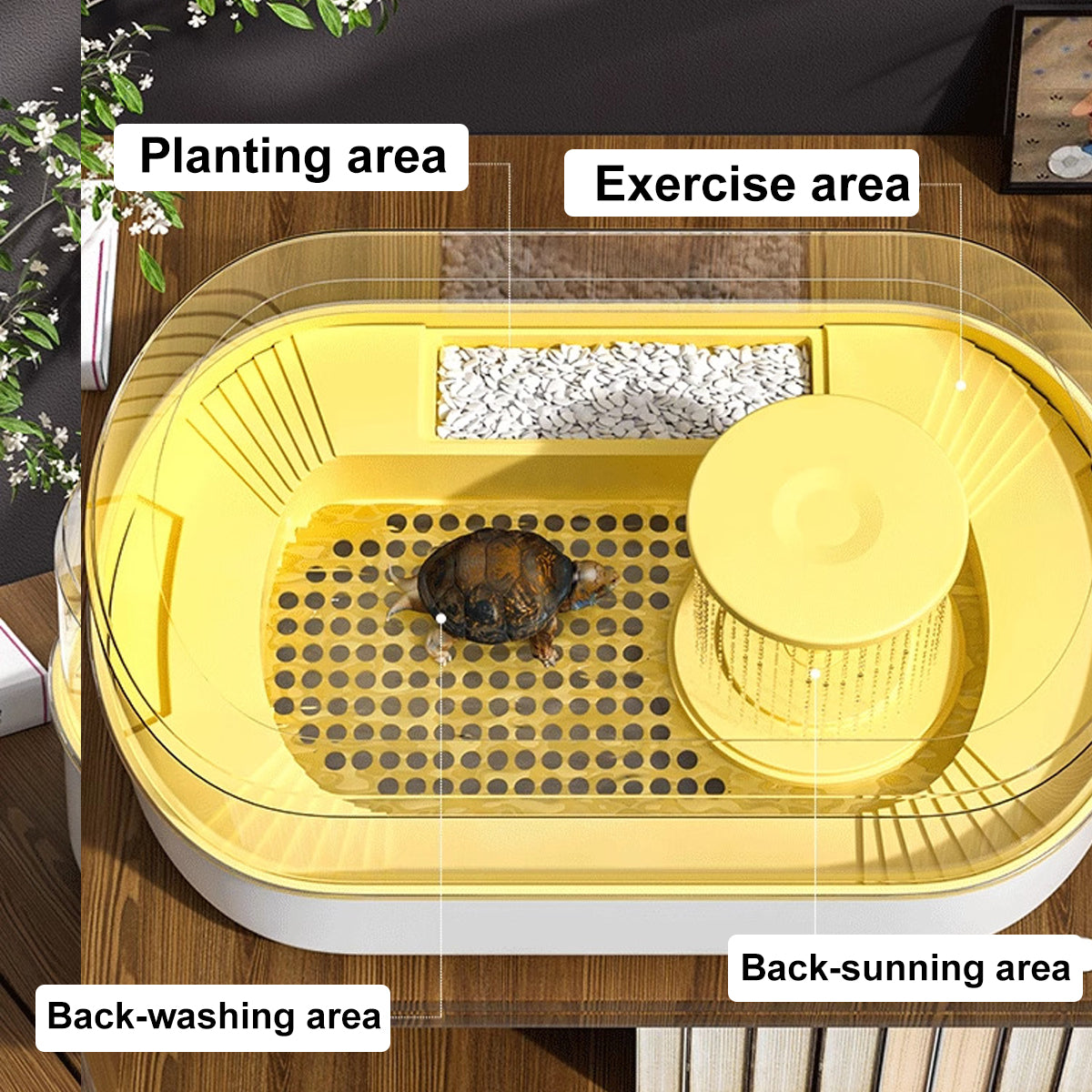 Turtle Feeding Tank with Drainage Small Habitat for Aquatic Pets