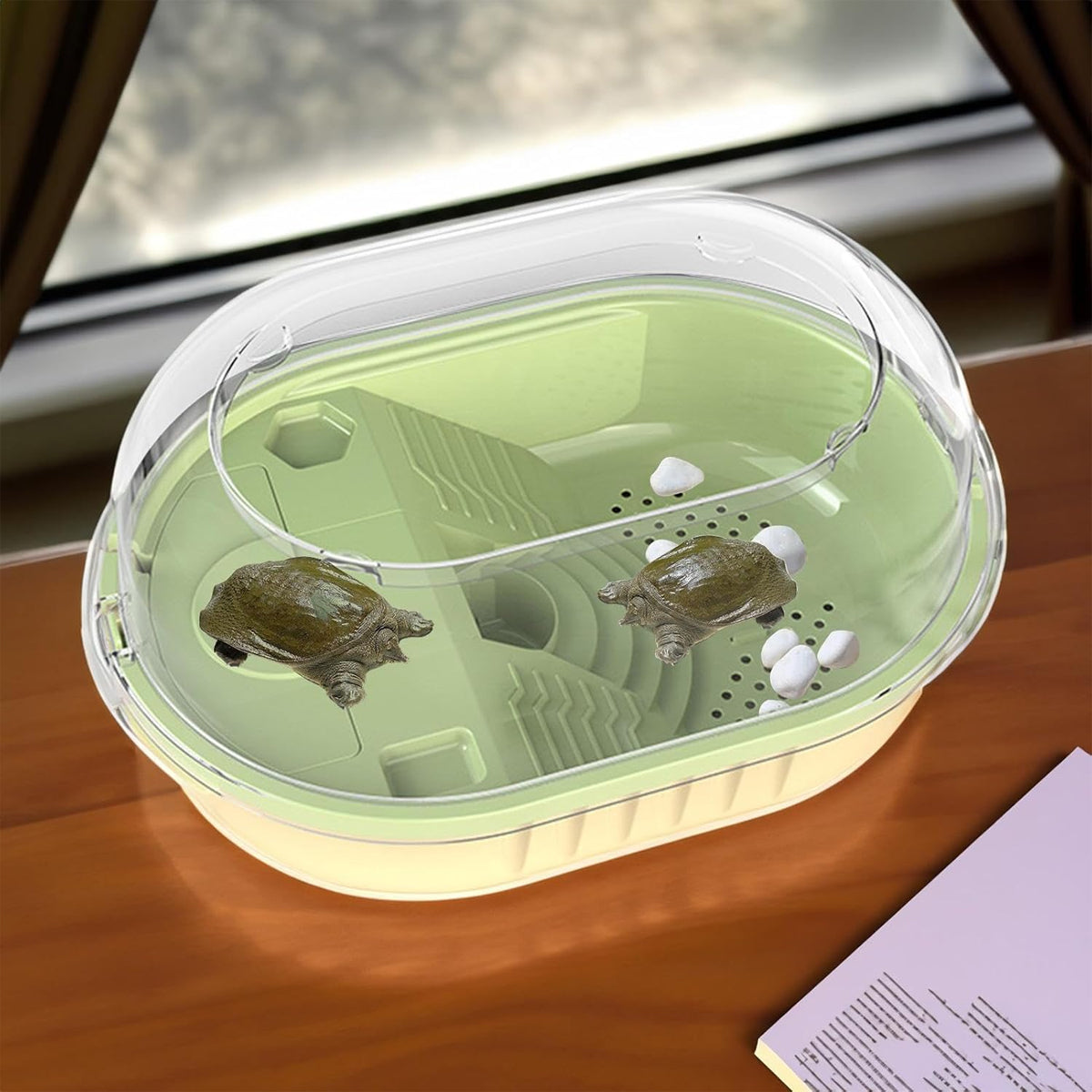 360° Turtle Jar with Cascading Water Plastic Turtle Habitat Tank