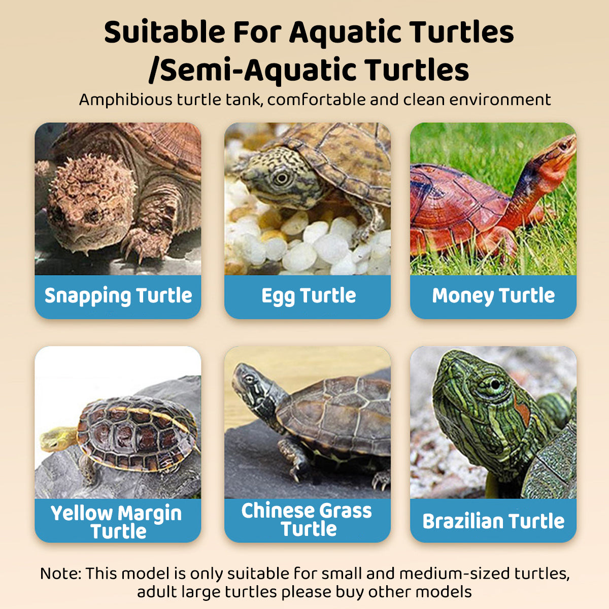 Luxury Tortoise Habitat with Basking Table Escape-Proof Reptile Tank