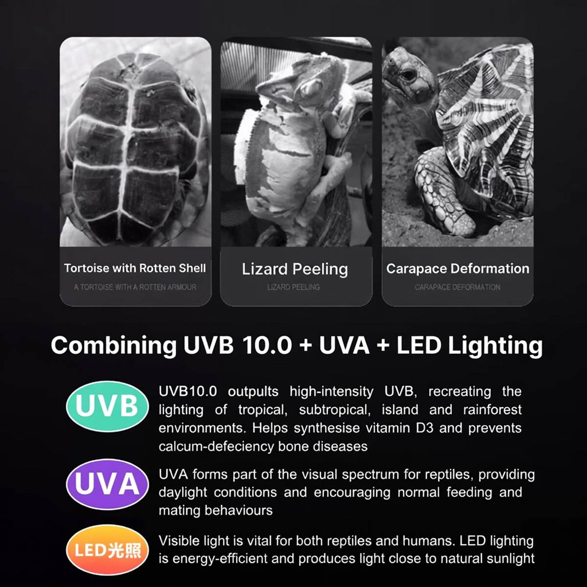Large white reptile feeding box with LED display light – product view 12