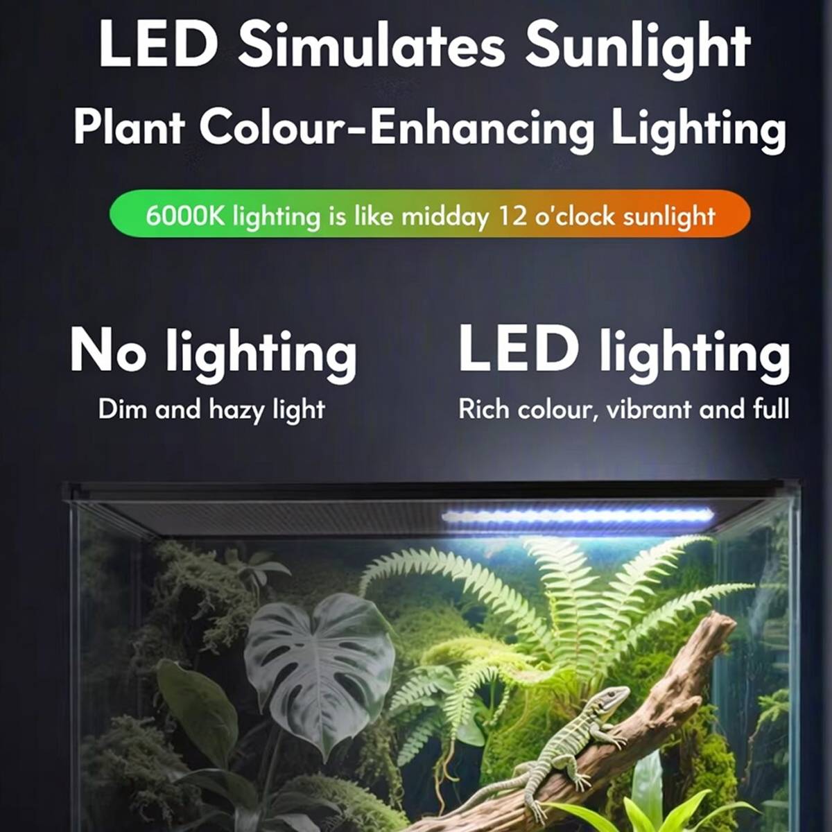 Large white reptile feeding box with LED display light – product view 13