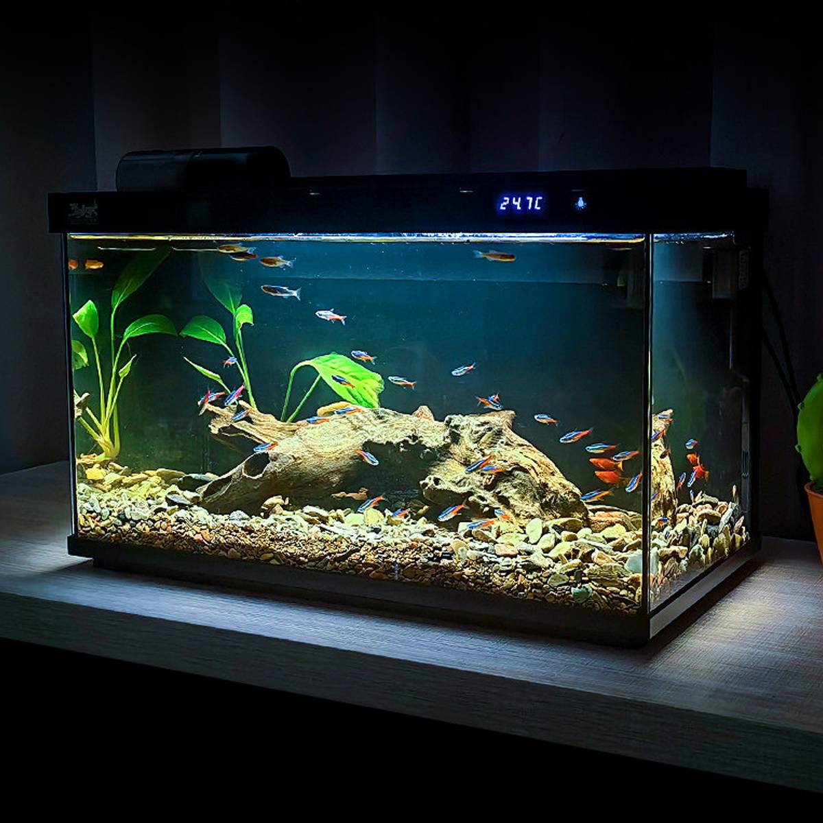 Smart Fish Tank With Filtration And LED Display