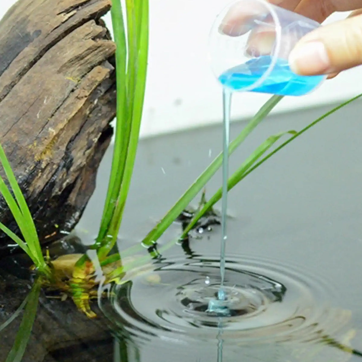 Turtle Water Stabiliser 100ML for Clean & Balanced Aquatic Habitat