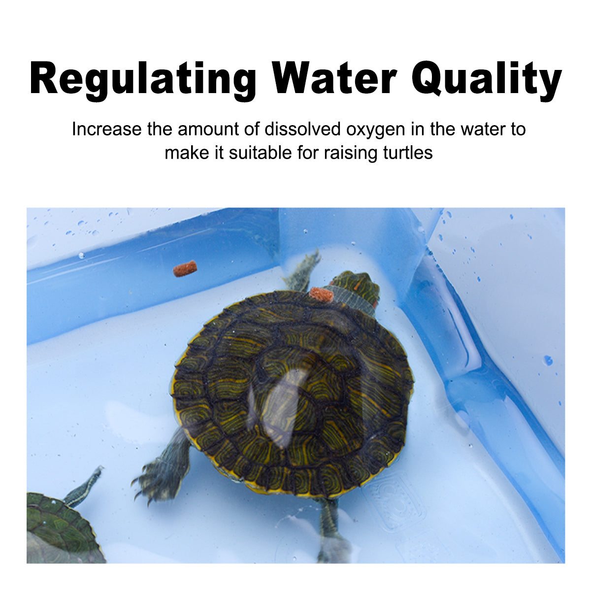 Turtle Water Stabiliser 100ML for Clean & Balanced Aquatic Habitat