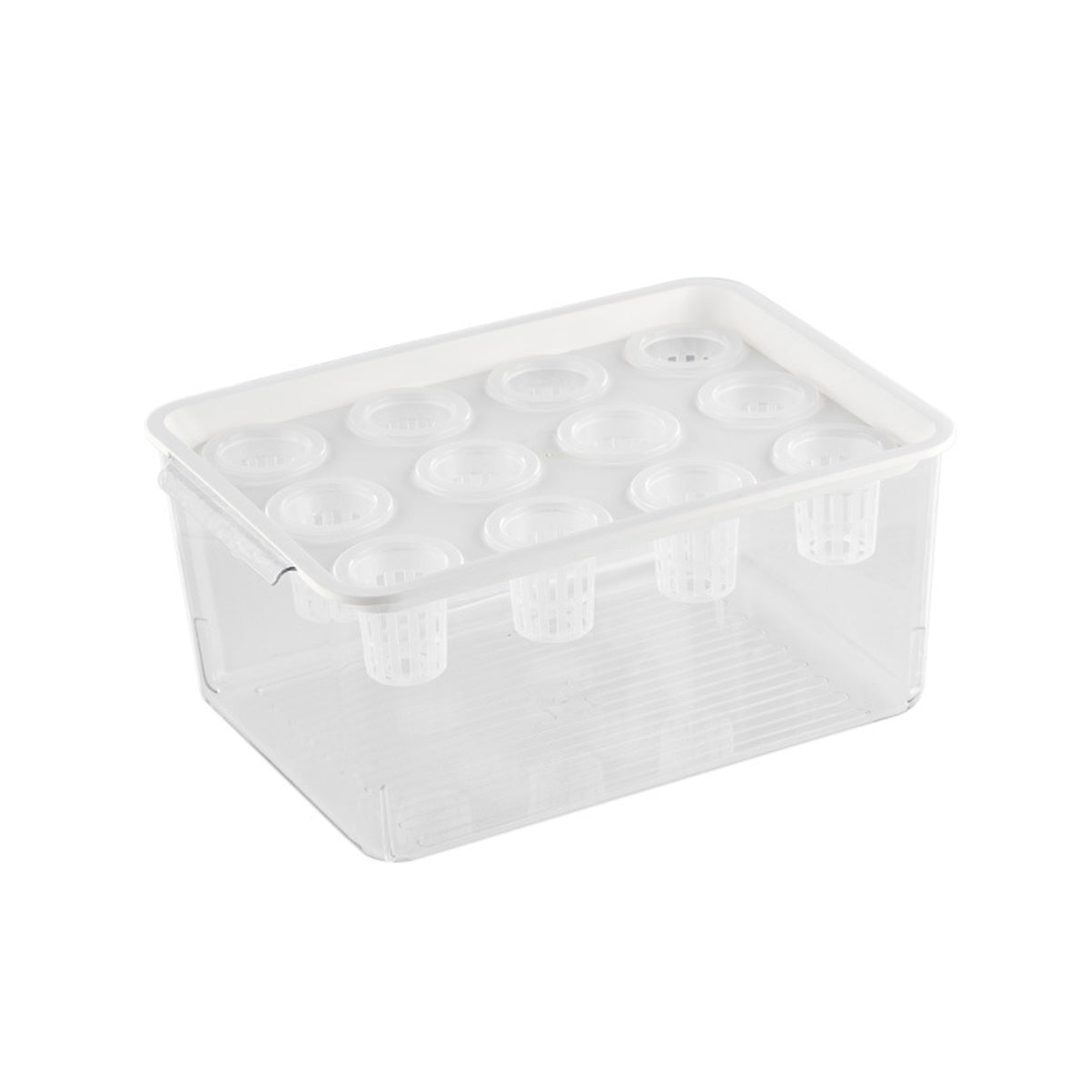 Transparent Hydroponic Aquarium with 12-Hole Lid