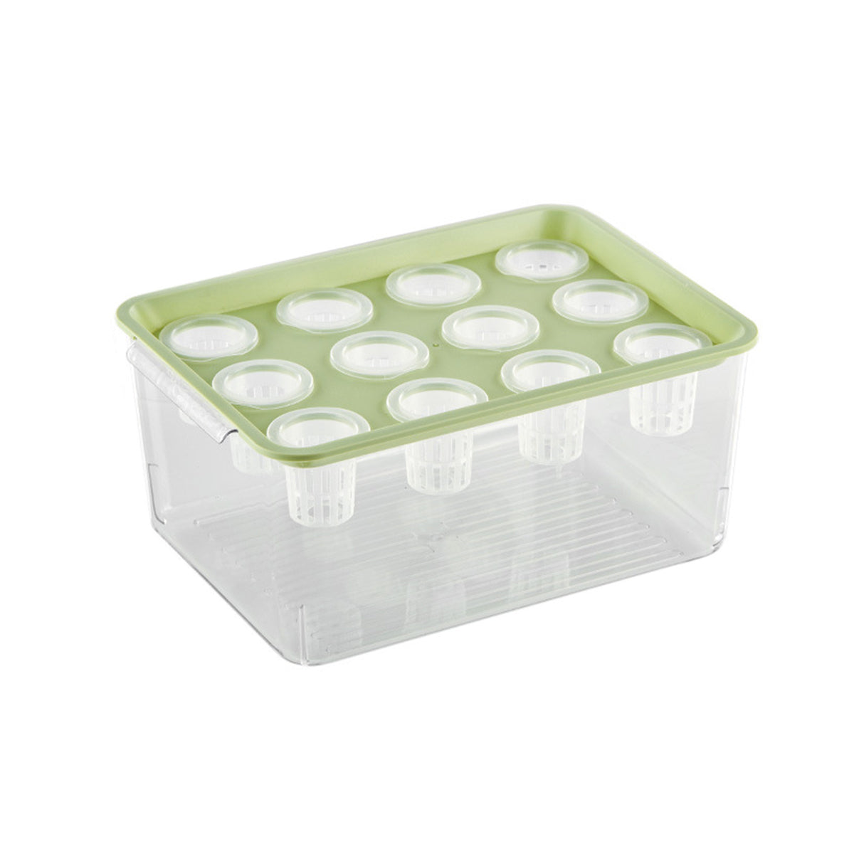 Transparent Hydroponic Aquarium with 12-Hole Lid