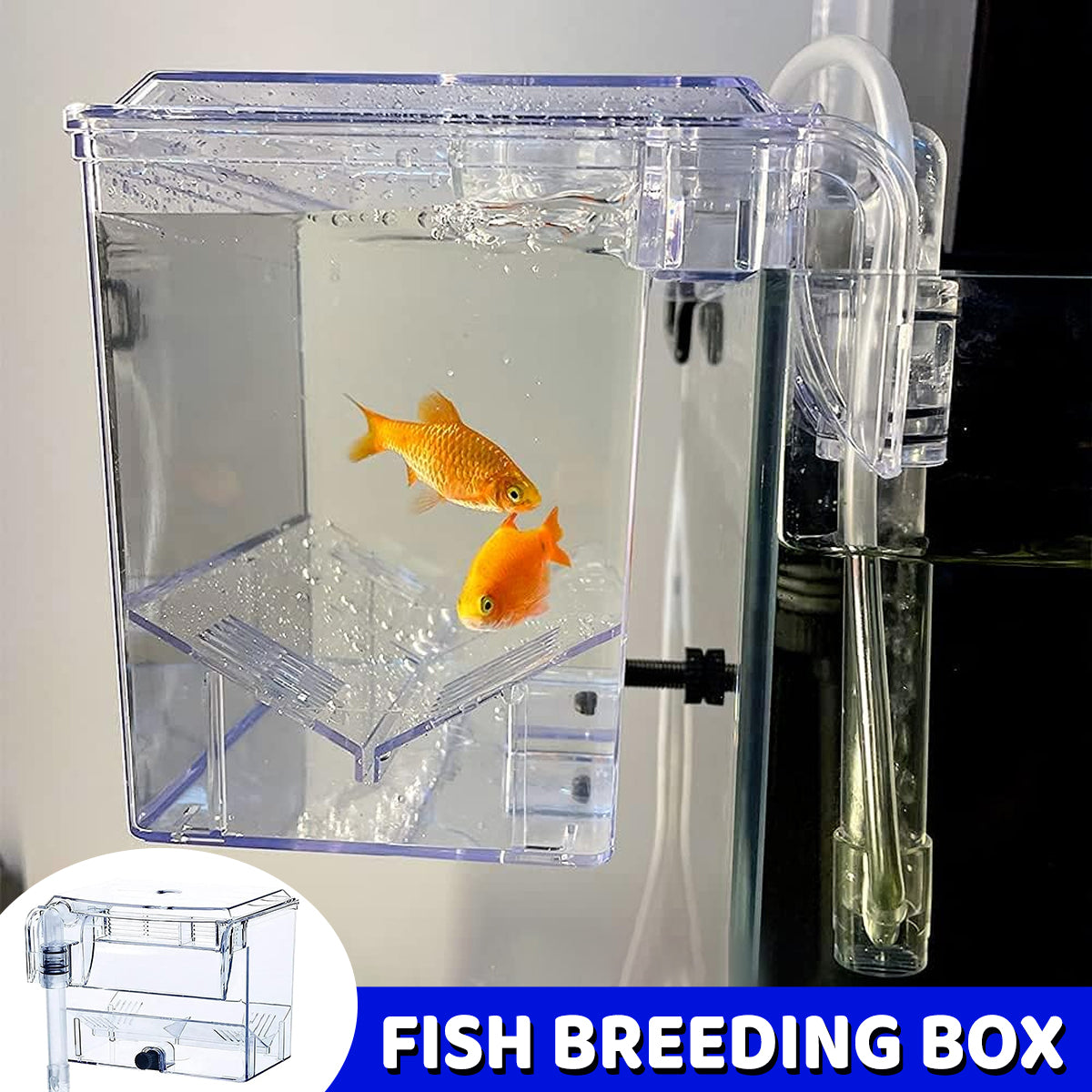 Acrylic Fish Breeding Isolation Box for Guppies and Small Fish