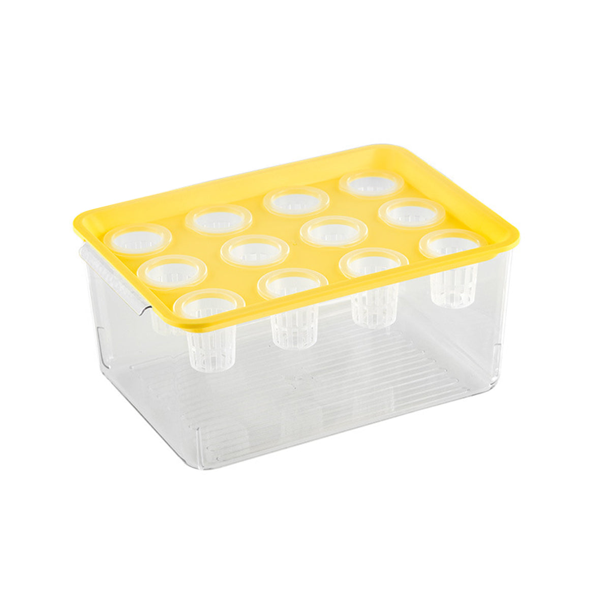 Transparent Hydroponic Aquarium with 12-Hole Lid