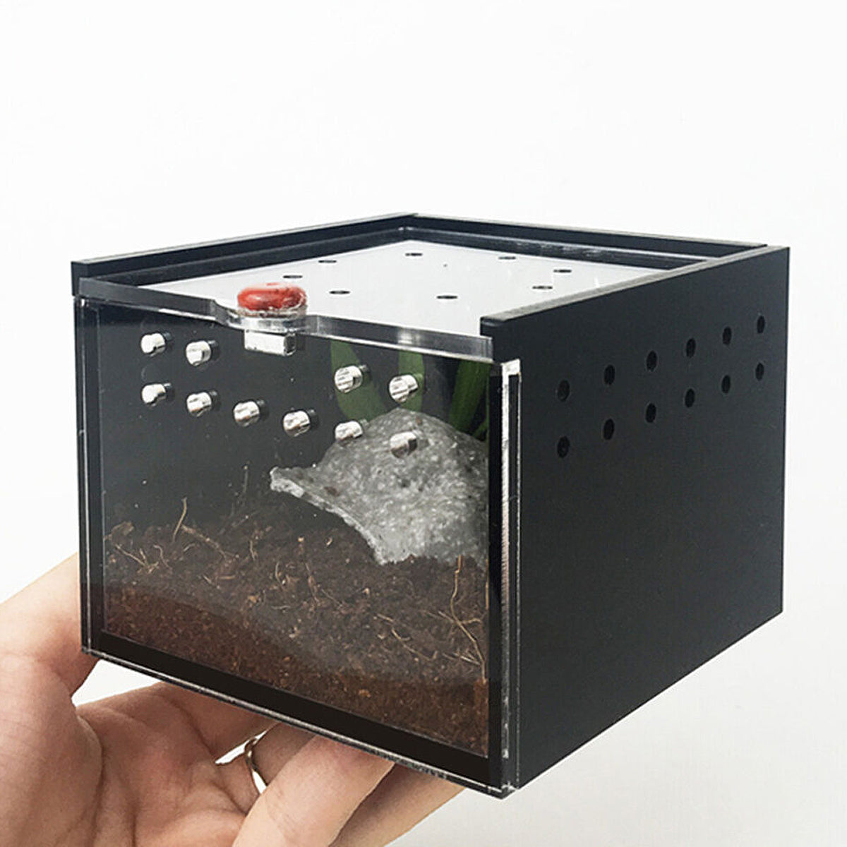 Reptile Climbing Pet Enclosure Spider Lizard Breeding Terrarium Box Terrarium