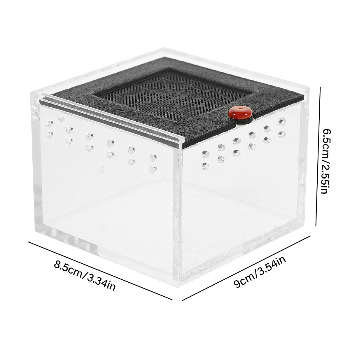 Reptile Climbing Pet Enclosure Spider Lizard Breeding Terrarium Box Terrarium