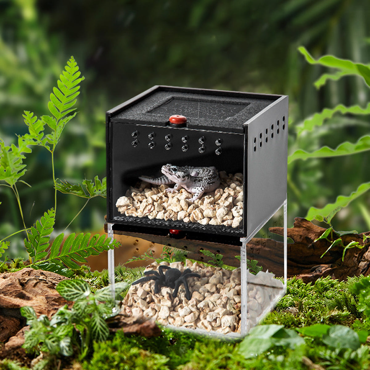 Reptile Climbing Pet Enclosure Spider Lizard Breeding Terrarium Box Terrarium