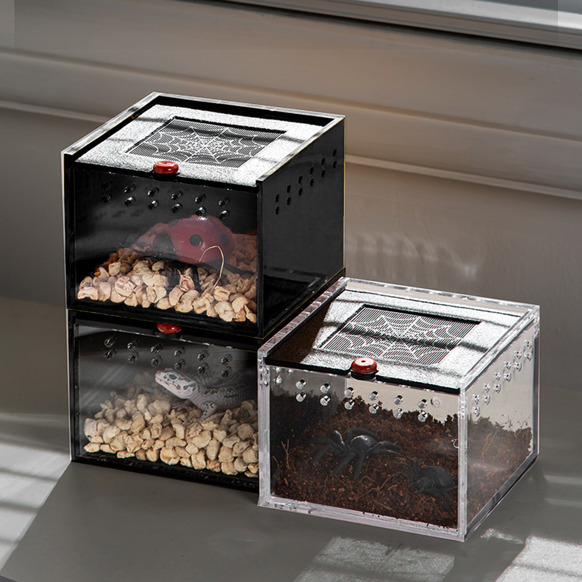 Reptile Climbing Pet Enclosure Spider Lizard Breeding Terrarium Box Terrarium