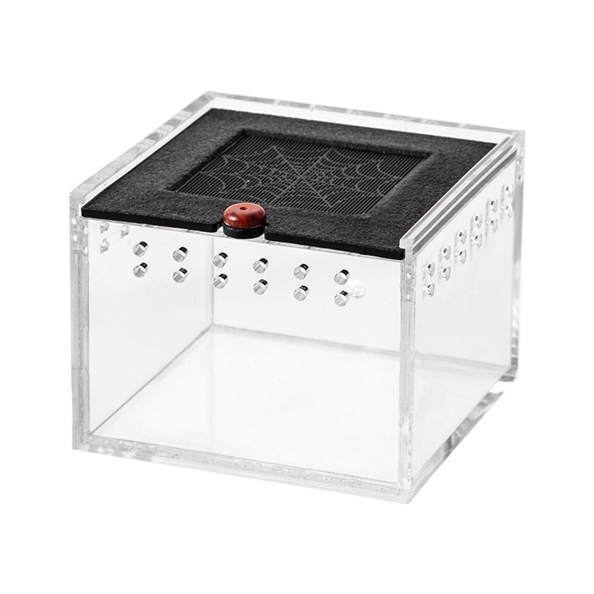 Reptile Climbing Pet Enclosure Spider Lizard Breeding Terrarium Box Terrarium