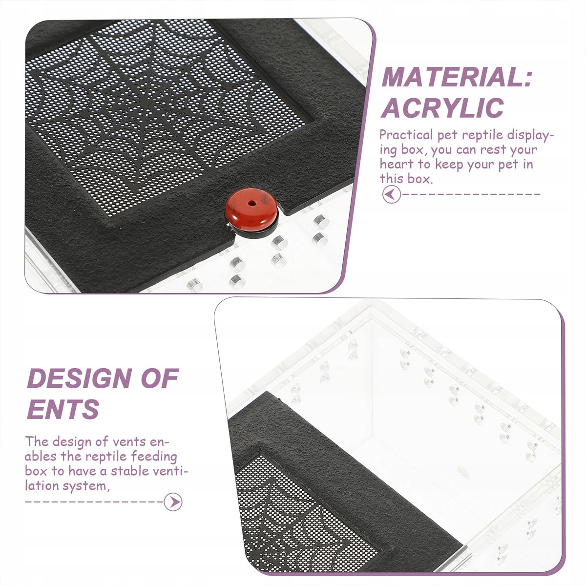 Reptile Climbing Pet Enclosure Spider Lizard Breeding Terrarium Box Terrarium