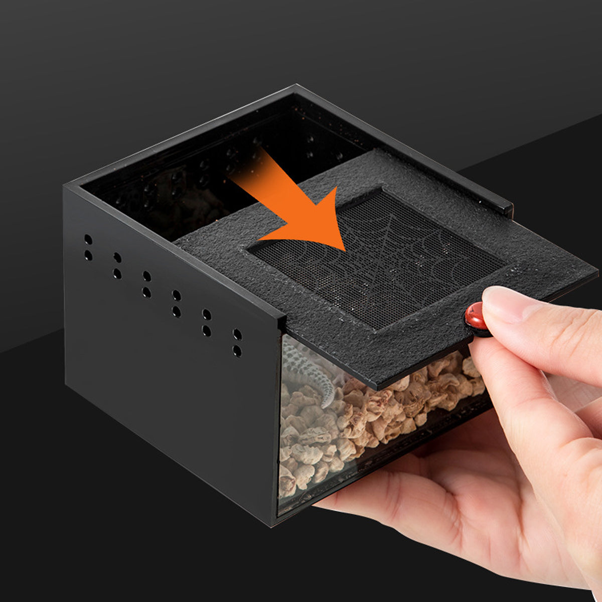 Reptile Climbing Pet Enclosure Spider Lizard Breeding Terrarium Box Terrarium