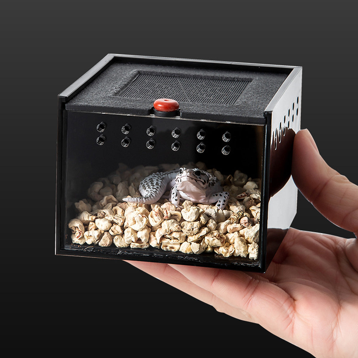 Reptile Climbing Pet Enclosure Spider Lizard Breeding Terrarium Box Terrarium