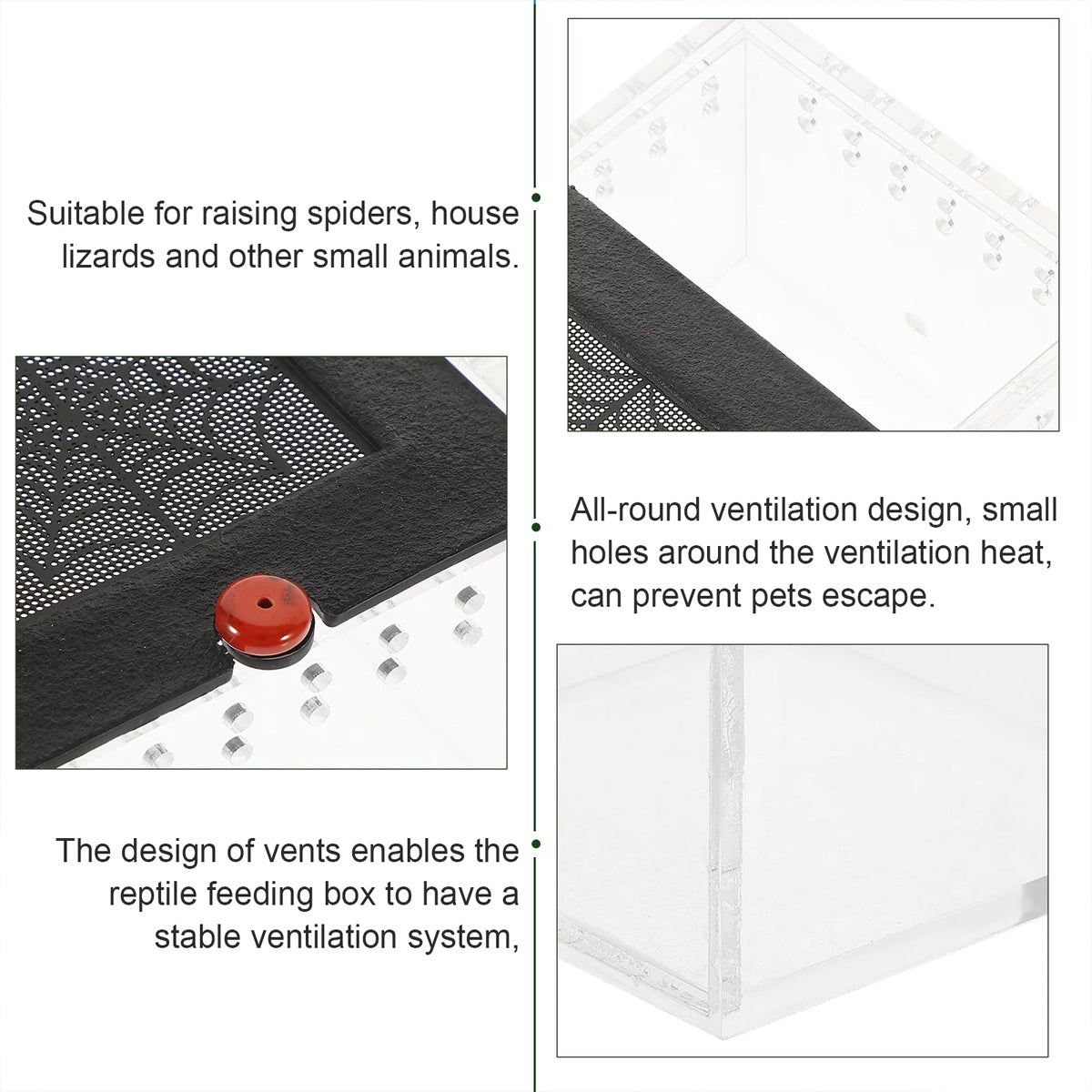 Reptile Climbing Pet Enclosure Spider Lizard Breeding Terrarium Box Terrarium