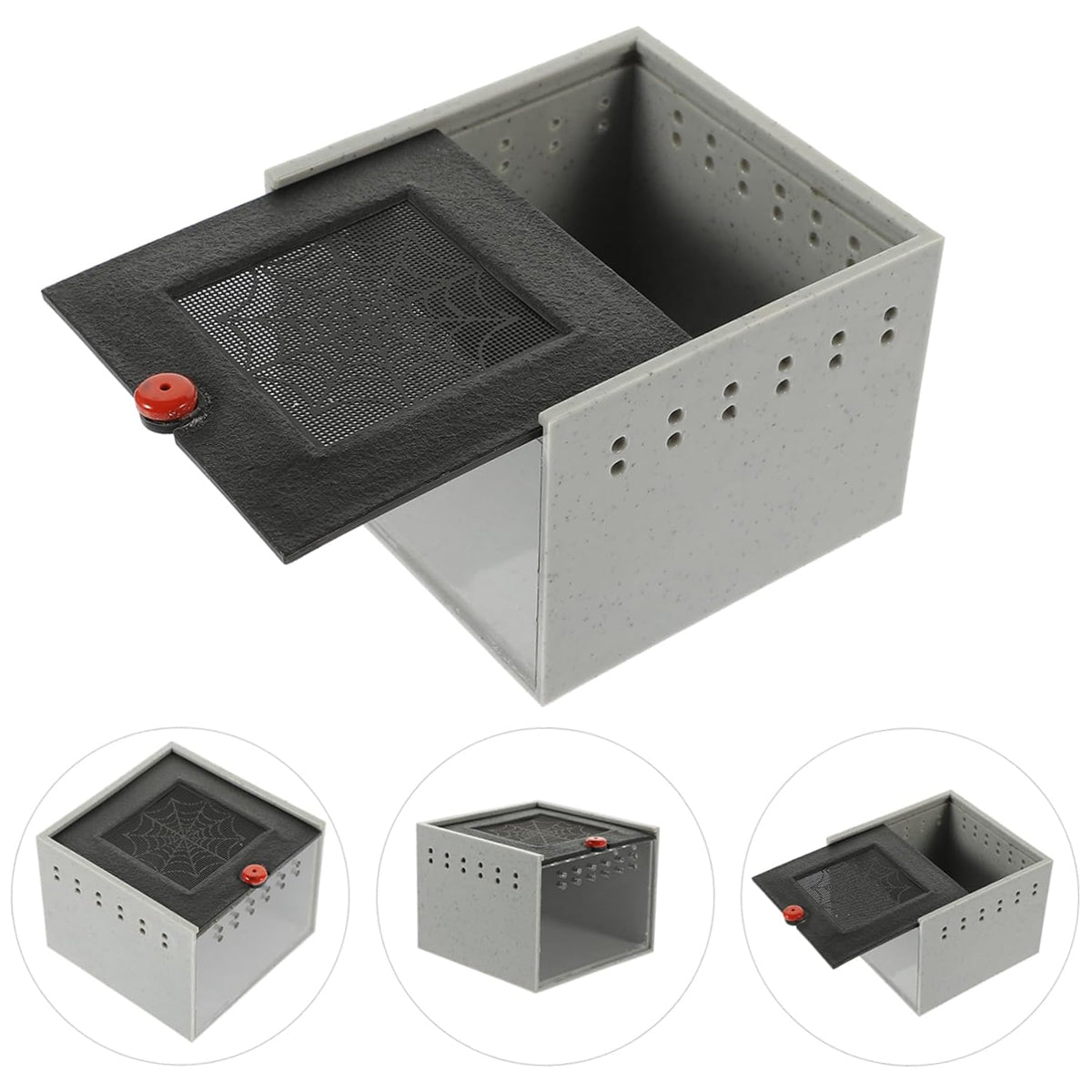 Reptile Climbing Pet Enclosure Spider Lizard Breeding Terrarium Box Terrarium