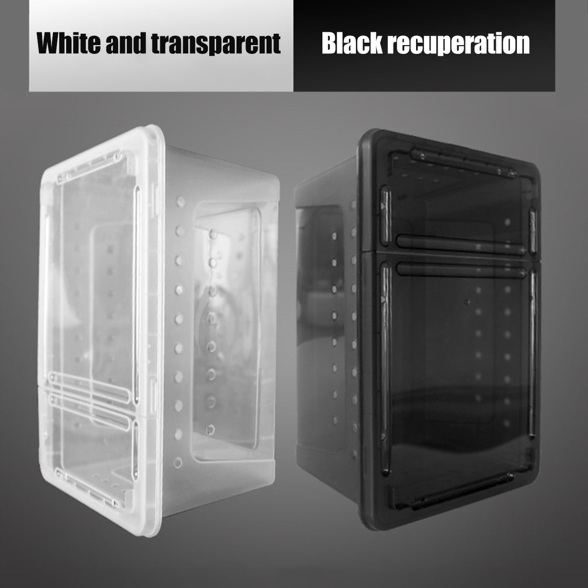Reptile Breeder Box Transparent Insect Terrarium With Feeding Bowl