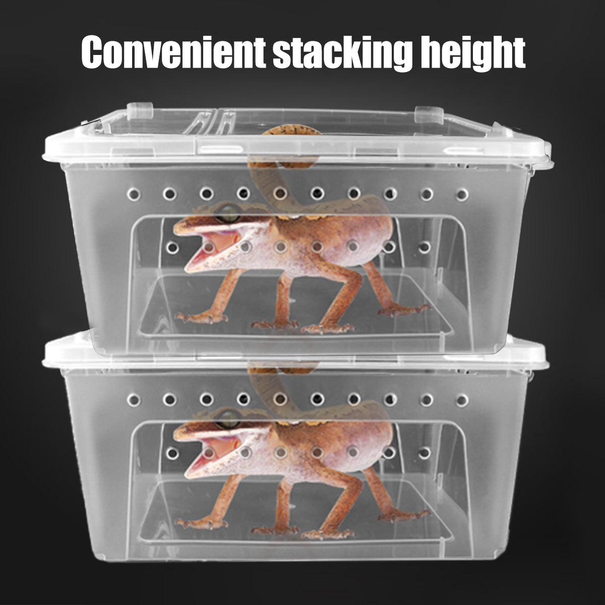 Reptile Breeder Box Transparent Insect Terrarium With Feeding Bowl