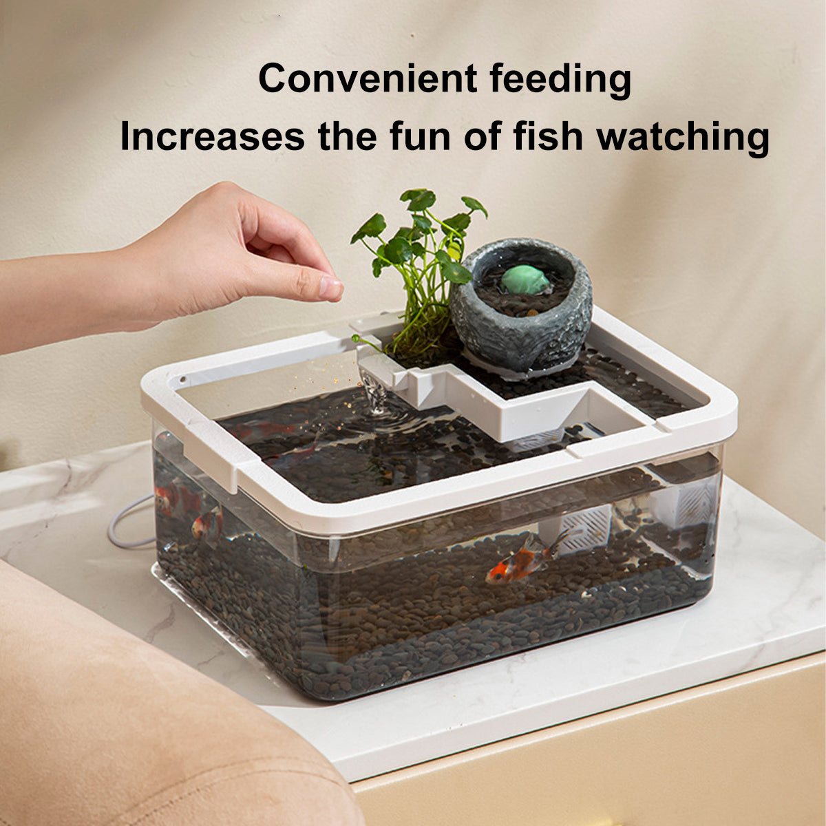Modern Desktop Fish Tank with Water Circulation and LED Light
