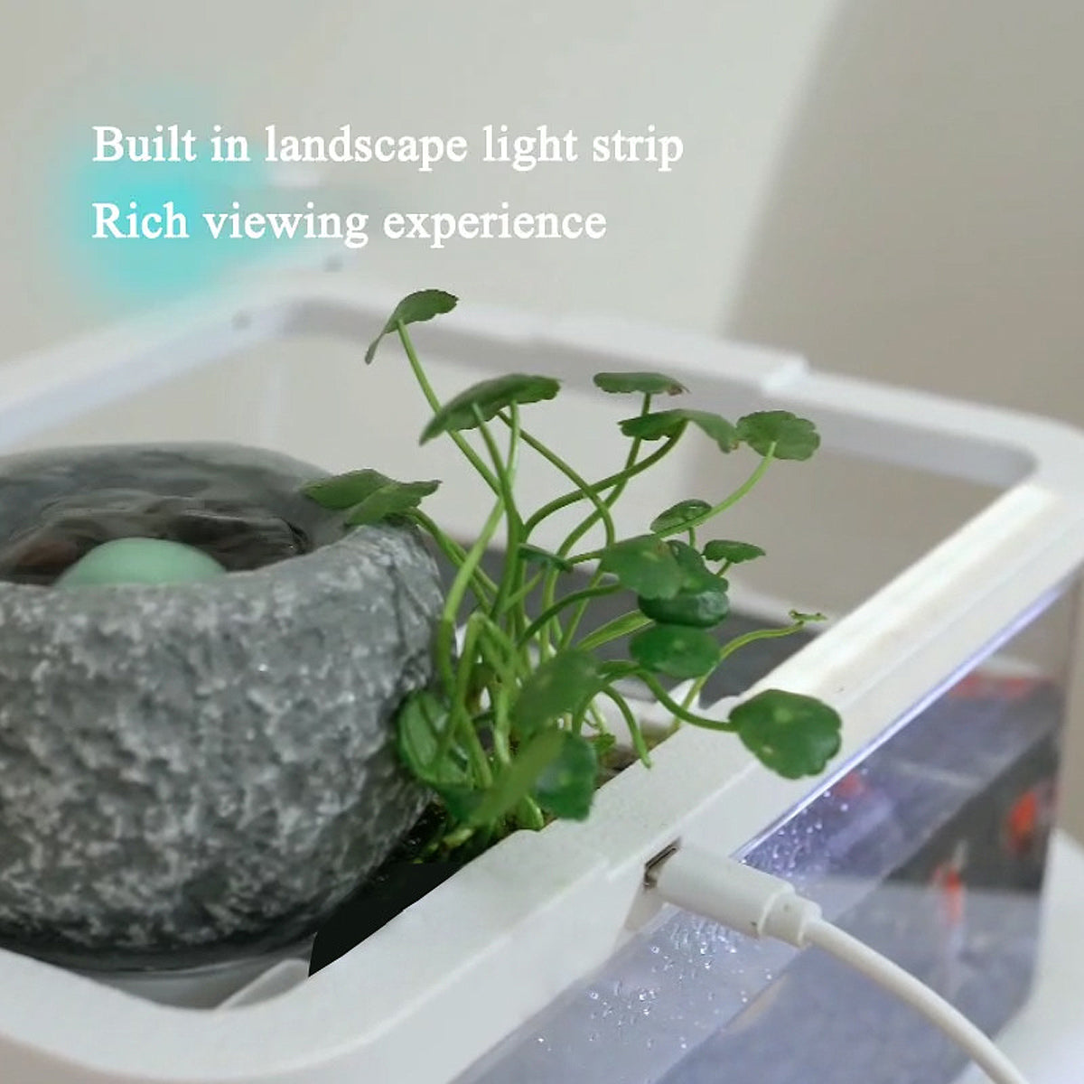 Modern Desktop Fish Tank with Water Circulation and LED Light