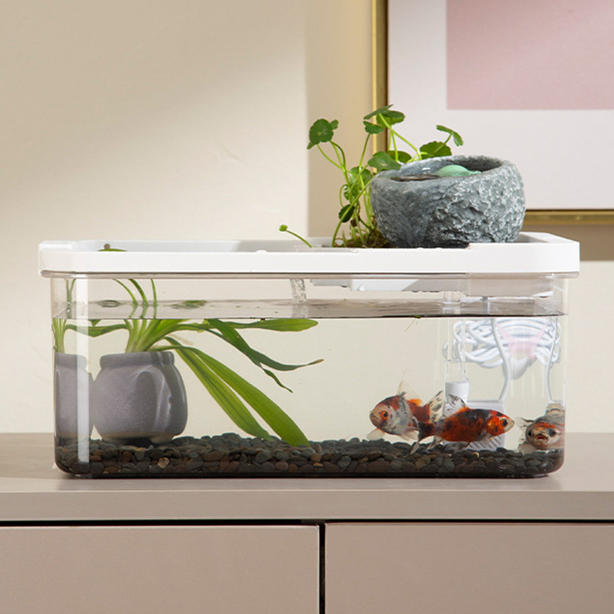 Modern Desktop Fish Tank with Water Circulation and LED Light