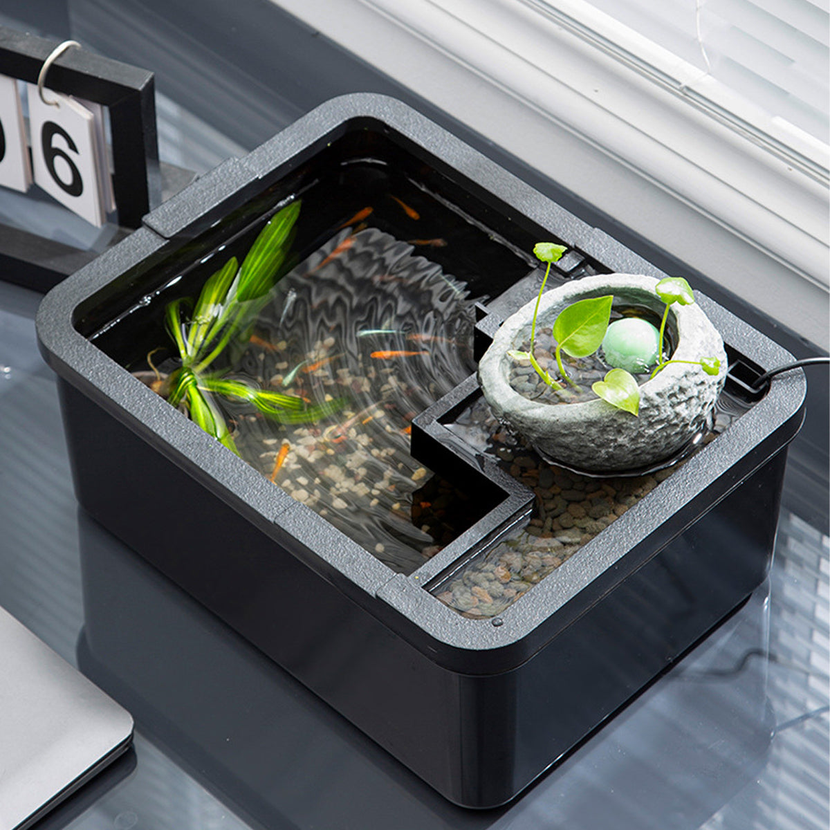 Modern Desktop Fish Tank with Water Circulation and LED Light