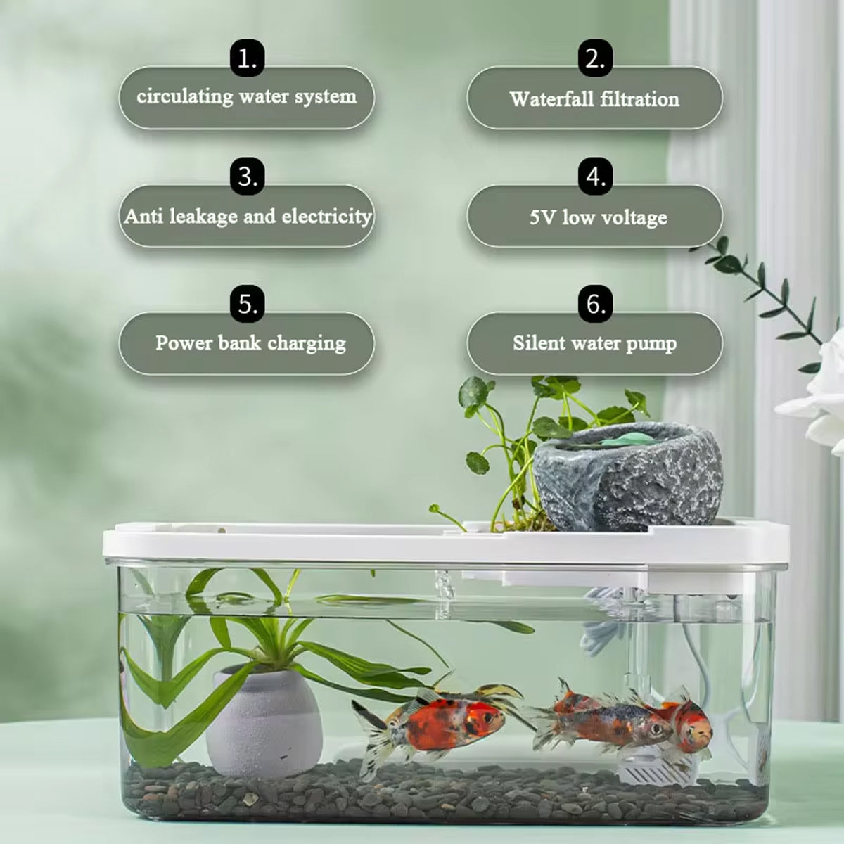 Modern Desktop Fish Tank with Water Circulation and LED Light