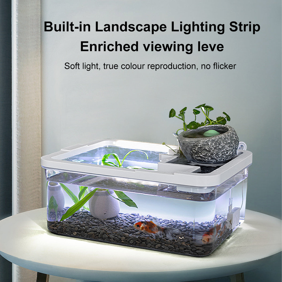 Modern Desktop Fish Tank with Water Circulation and LED Light