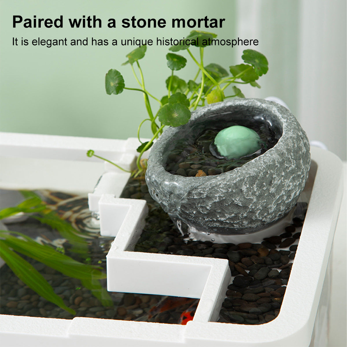 Modern Desktop Fish Tank with Water Circulation and LED Light