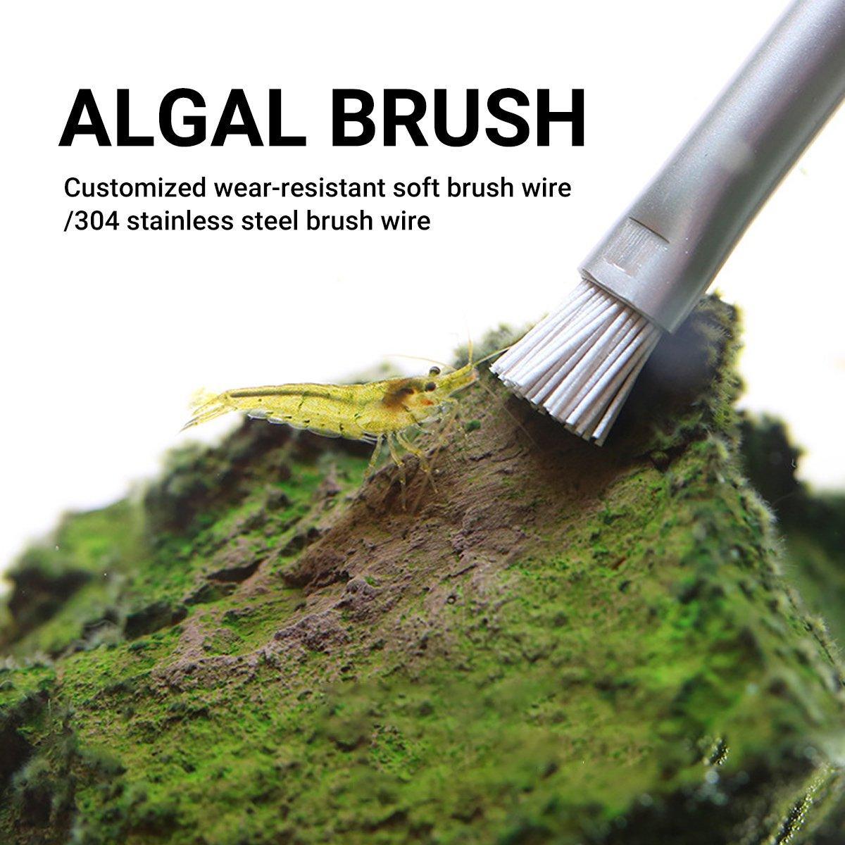 Landscape Stone Cleaning Brush Algae Brush Water And Grass Landscape Brush ADA Same Style Cleaning Algae On Stone Wood