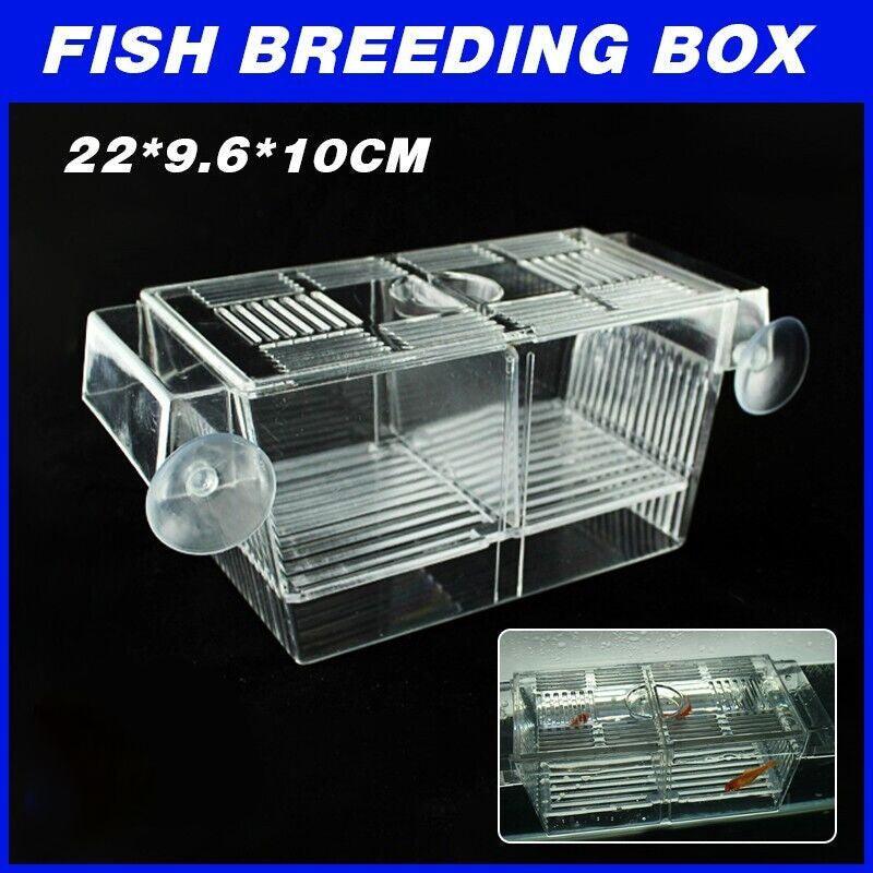 Breeder Rearing Aquarium Breeder Rearing Isolation Box 22x9.6x10cm